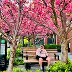 Gwen Garces Torres - @gwen_torres21 - Instagram