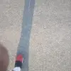 Gwen Trimble - @gwen.trimble - TikTok