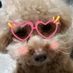 Gwen Wang - Facebook