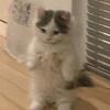 wayne - @gwenwaynepretty - TikTok