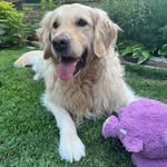 Gwen Lawson Weeks - @weeksgwen - Instagram