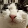 GwendolynWare - @schumafm8zn - TikTok