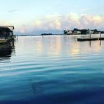 Gwendolynwolfwalker - @gwendolynwolfwalker - Instagram