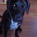 Gwyn Murphy - Facebook