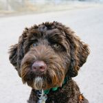 Gwyn Richards Benson - @gwyn.benson - Instagram