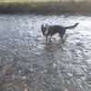 Gwyn Thomas - @asasasasasas12345678910 - TikTok