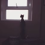 Gwyn thomas de chroustchoff - @gwynthomasdechroustchoff - Instagram