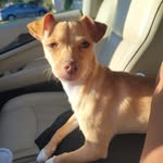 Gwynn Gleason Smith - @gg18b - Instagram