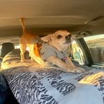 @gypsy_johnson_is_loved - Instagram