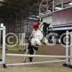 Rider By Heart Not By Choice - @moores_gypsy_cobs - Instagram