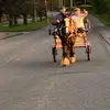 gypsy oyrobert stewart - @gypsy.oyrobert.st - TikTok