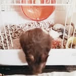 Gyula Demeter - @dadri3044 - Instagram