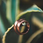 Gyula Varga - @varga_gyula_photography - Instagram