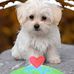 Gyula Varga - Facebook