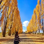 Ha Phung - @rangsua88 - Instagram