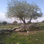 هادی فلاحی - @hadi_fallahe_ - Instagram
