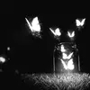 Hadi Nouri - @hadi.nouri11 - TikTok