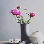 Hadil Diab - @hadoolaalidiab - Instagram