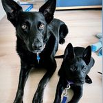Cooper + Hadley - @cooperandhadley - Instagram