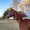 🐮🫶🏼hadley🫶🏼🐴 - @hadley.cooperr - TikTok