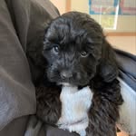 @hadleywrightson - Instagram