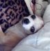 Hadyn Smith - Facebook