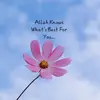 Hafsa Hussein - @hafsa.hussein118 - TikTok