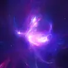 HafsaHussein - @hafsahussein3 - TikTok