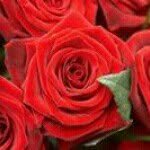 Hafsa Mohamed - @hafsa.mohamed.357 - Instagram