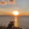 陳海桦 - @haihua1341 - TikTok
