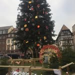 Haihua Jin - @_haihua - Instagram