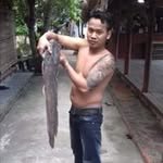 Hai Thach - @thach5238 - Instagram