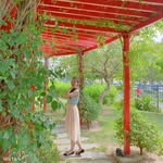Hải Thạch Lan - @haithachlan_99 - Instagram