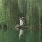 Thom Vu - @haithien - Instagram