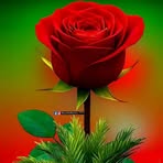 Hope Line - Facebook