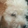 haidêsilva - @haidesilva - TikTok