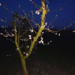 haideebellmuntizquierdo - @haideebellmuntizquierdo - Instagram