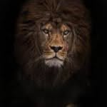 Haider Azeez - @haider.azeez.923 - Instagram