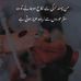 Haider Ejaz - Facebook