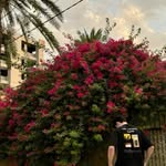 Haider Sadiq - @h._loh - Instagram