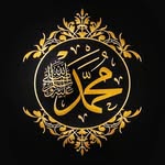 Haider Sadiq - @zh.smartm - Instagram
