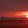 Haidy Lee - @haidy.lee - TikTok