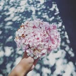 haidylee16 💕 - @haidylee16 - Instagram