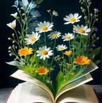 Haifa Ali - Facebook