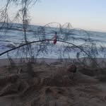 haifaq hakimi - @haifaq.hakimi - Instagram