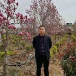 Haifeng Sun - @haifeng.sun.961 - Instagram