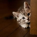 Haifeng Sun - @haifeng_sun_sam - Instagram