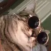 hailee  - @hailee.greene - TikTok