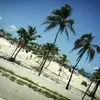 hailee💓 - @hailee.smith48 - TikTok