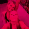 haileee - @haileeosullivann - TikTok